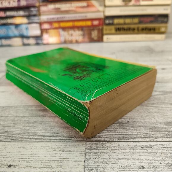 VILLAGE Bruce Elliot‎ 1982 First Avon Printing Paperback Historical Fiction - Picture 8 of 12